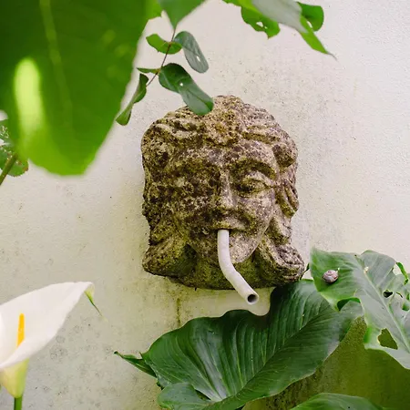 Casa Fontes 蓬蒂-达巴尔卡