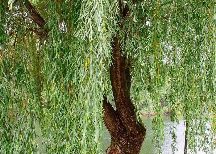 Casa vacanze Casa Fontes